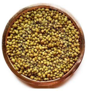 Natural Coriander Seeds