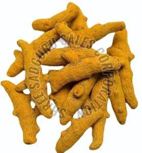 Rajapuri Turmeric Finger