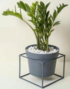 Square Iron Planter