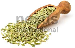 Fennel Seed