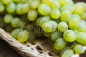 Fresh Grapes