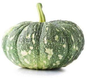 Fresh Green Pumpkin