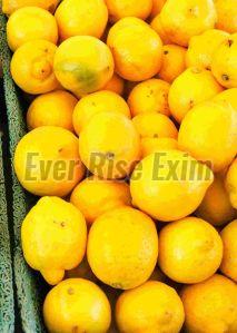 Fresh Yellow Lemon