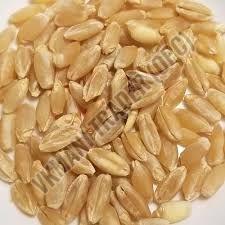 Durum Wheat Seeds