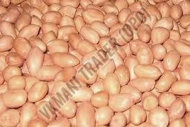 Java Peanut Seeds