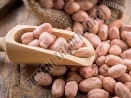 Natural Peanut Seeds