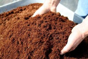 Brown Vermicompost