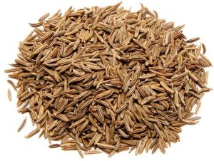 Caraway Seeds