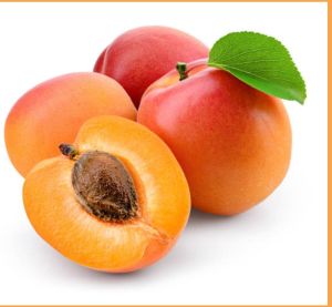 Fresh Apricot