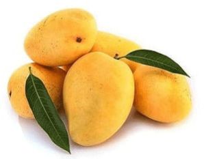 Banganapalli Mango Fruit