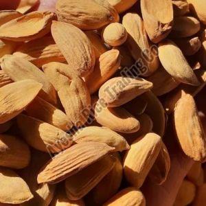 Afghani Mamra Almond Nuts