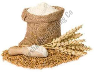 Wheat Flour