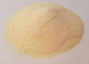 Corn Starch Powder