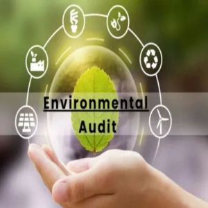 Environmental Audit Consultancy Services