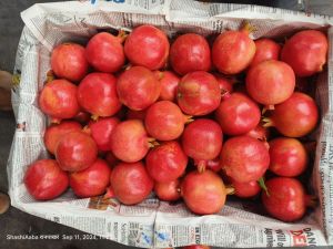 Pomogranate,Onion,Guava,Cabbage,Flower