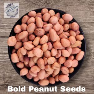 Bold Peanut Seeds