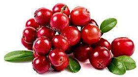 fresh cranberries