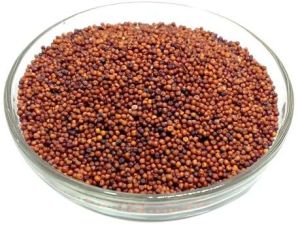 Finger Millet Seeds