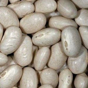 White Kidney Beans