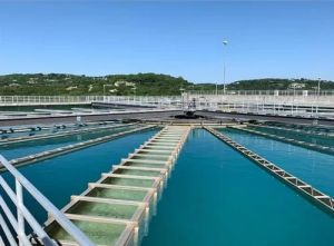 Reactor Clarifier