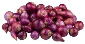 Fresh Baby Red Onion