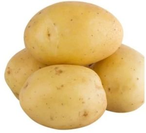 Fresh Natural Potato