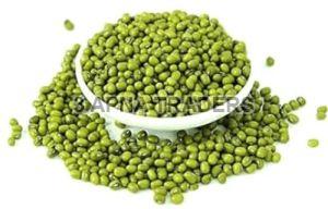 Green Moong Dal