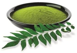 Curry Leaves Powder