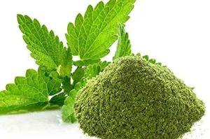 Mint Leaves Powder