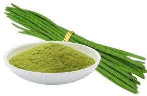 Moringa Drumstick Powder