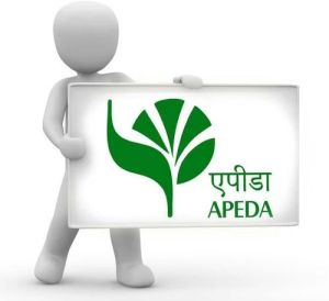 APEDA Registration Services