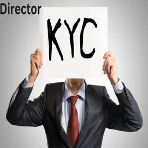 Company Director KYC Compliance Services