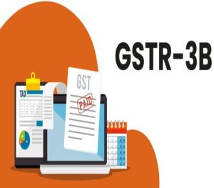 GSTR-3B Return Filing Services