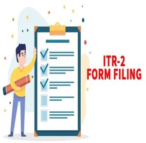 ITR-2 Return Filing Services