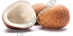 Dried Coconut