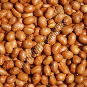 soy nuts