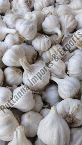 A Grade Fresh Garlic