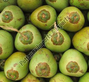 Fresh Tender Coconut