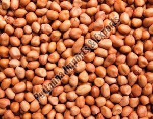 Groundnut