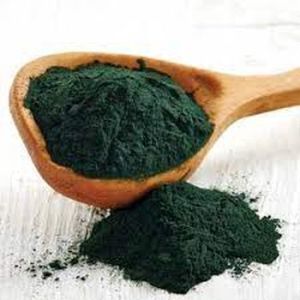 Dried Spirulina Powder