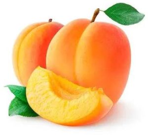 Fresh Apricot