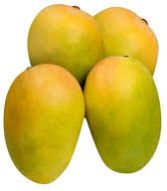 Fresh Kesar Mango
