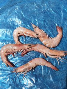 Prawn Pickle