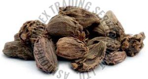 Black Cardamom