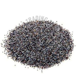 Black Poppy Seeds