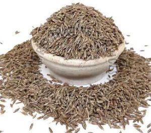 Brown Cumin Seeds