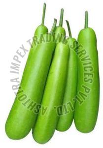 Fresh Bottle Gourd