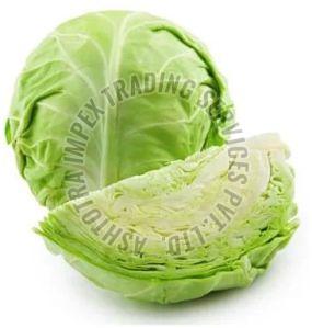 Fresh Cabbage