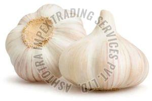 Fresh Garlic