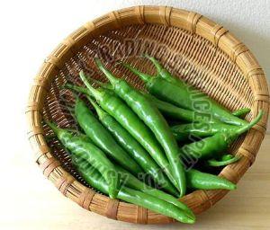 Fresh Green Chilli